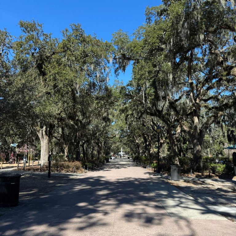 Savannah park and fountain with Spanish moss
