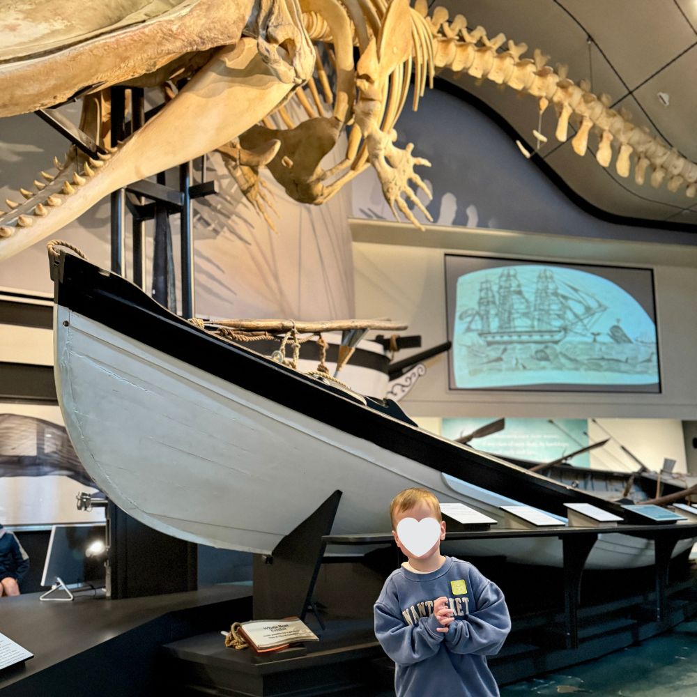 Boy standing in front of whale skeleton at Nantucket Whaling Museum