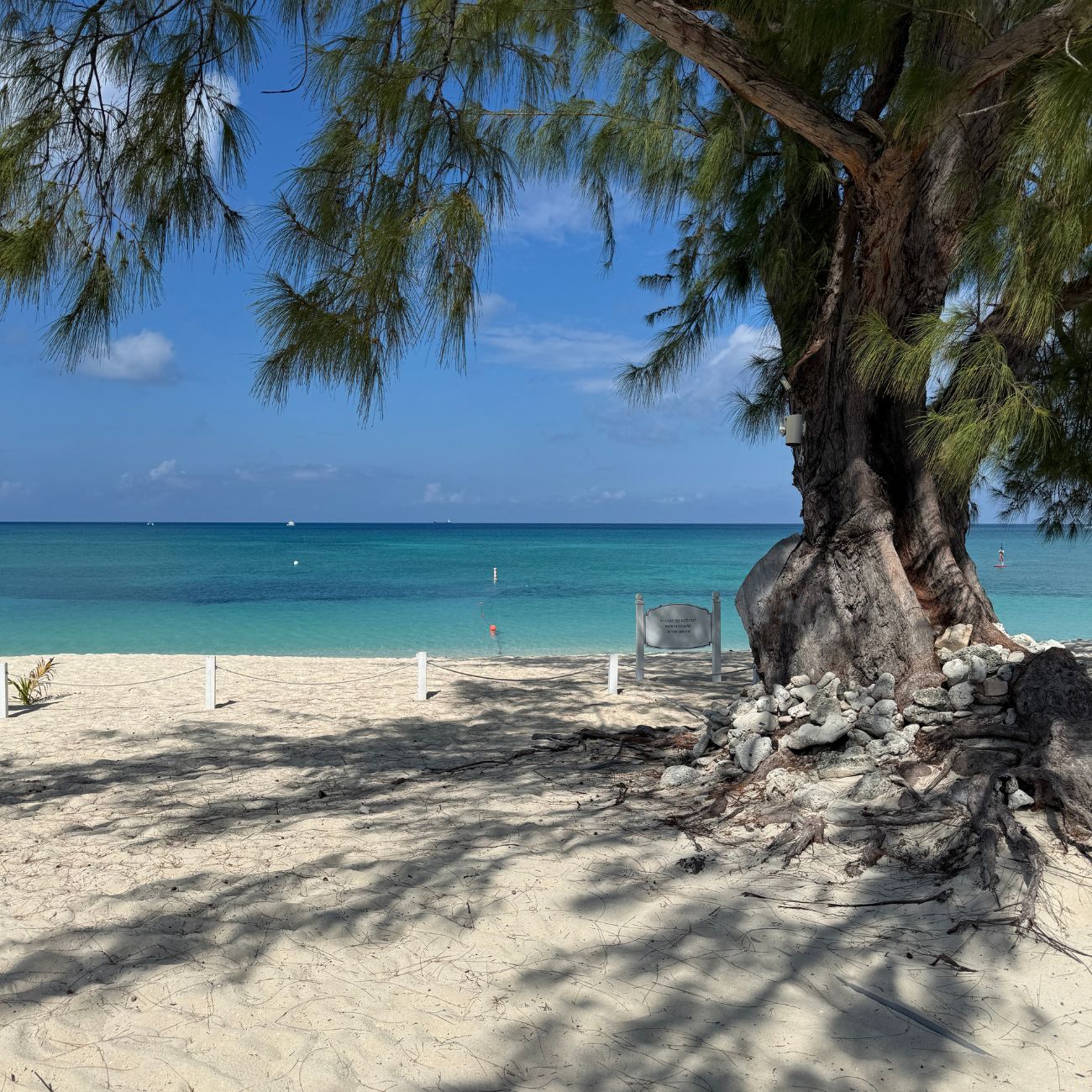 Free things to do in Grand Cayman Seven Mile Beach