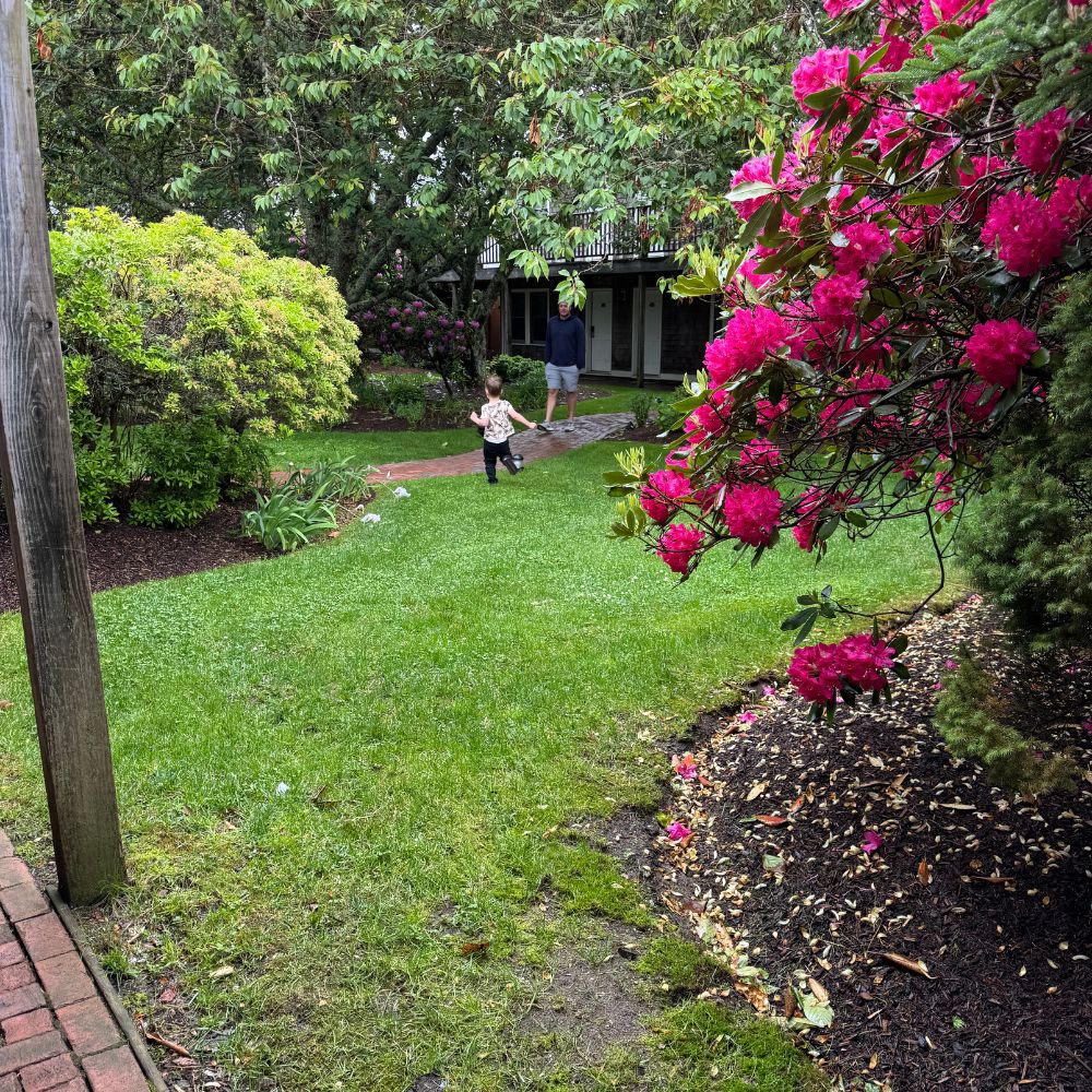 Nantucket Inn courtyard green space and flowers