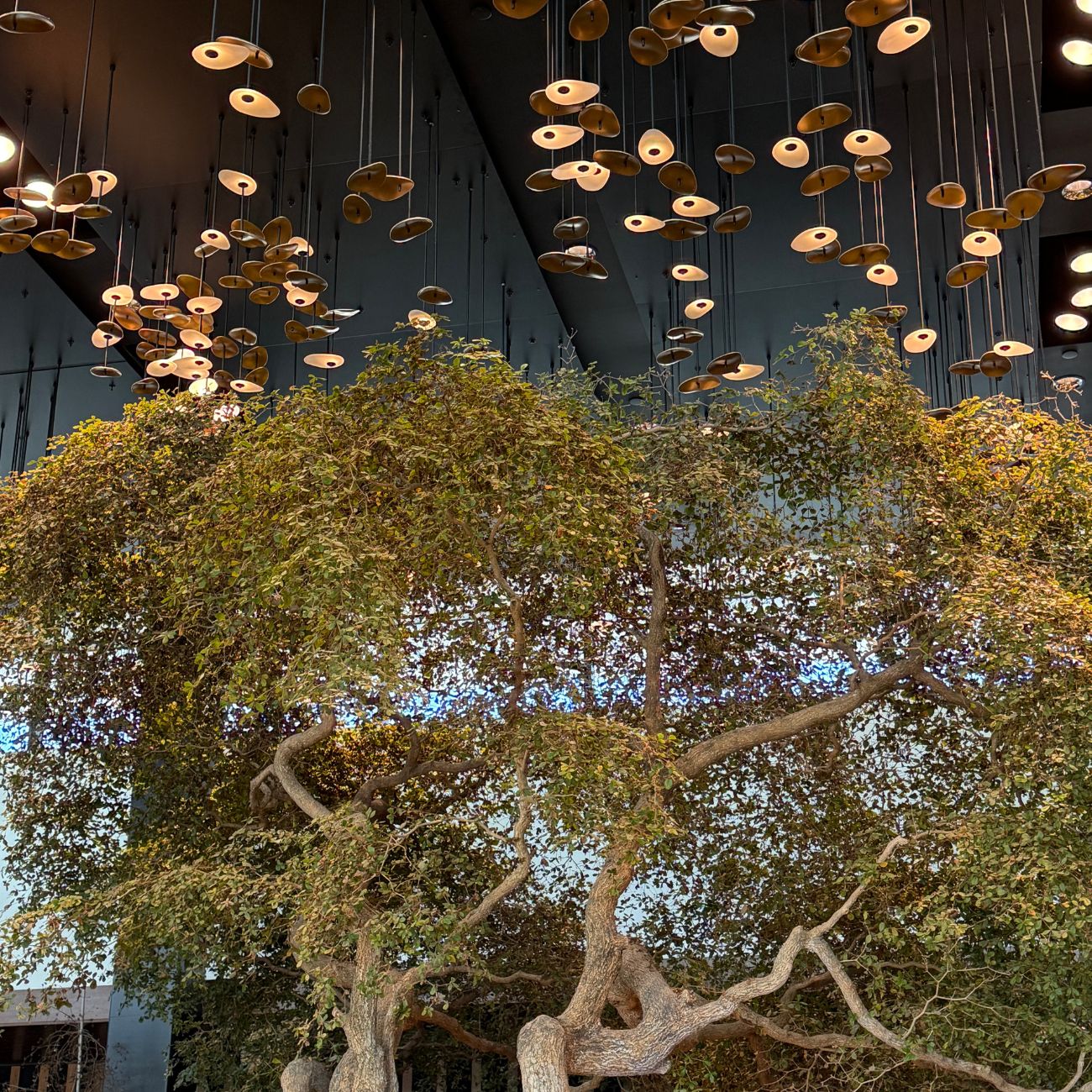 ATL Centurion Lounge lighting and decor