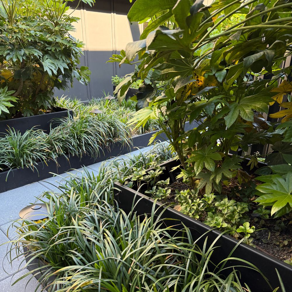 outdoor patio greenery at ATL Centurion Lounge