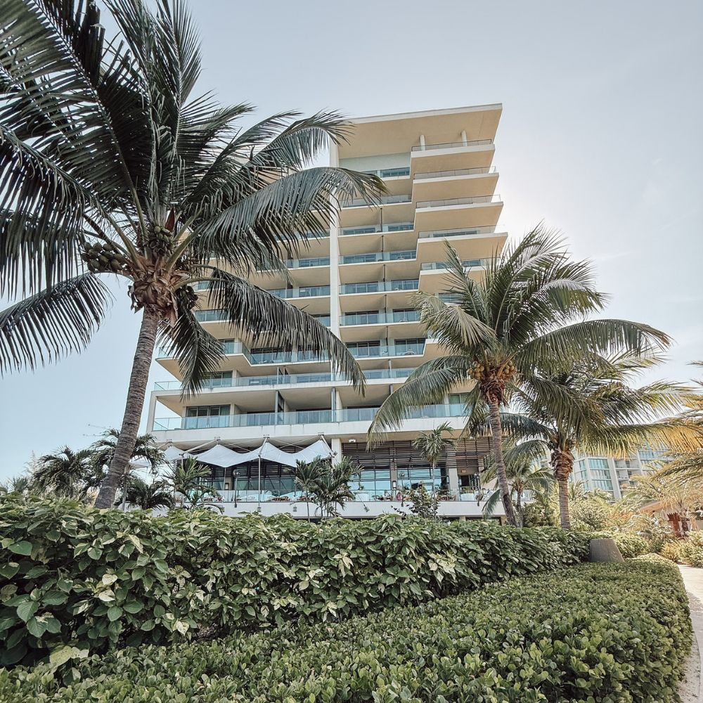 Kimpton Seafire Grand Cayman hotel palm trees