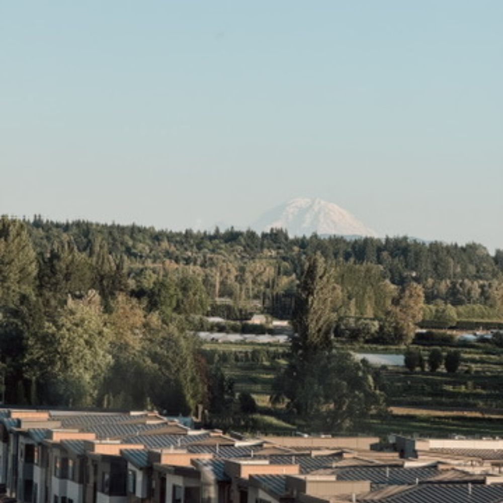 View of Woodinville Washington with Mt. Rainer in background