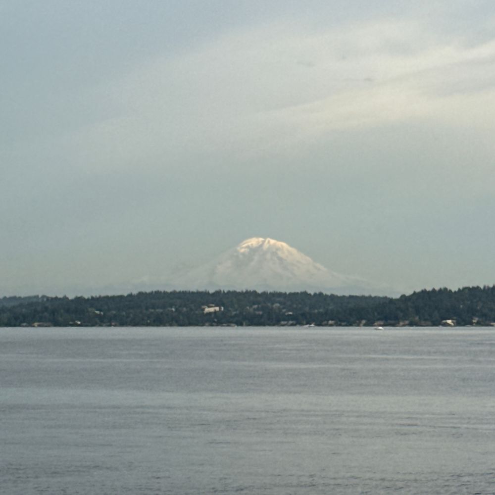 Mt. Rainier in distance with water and greenery in forefront