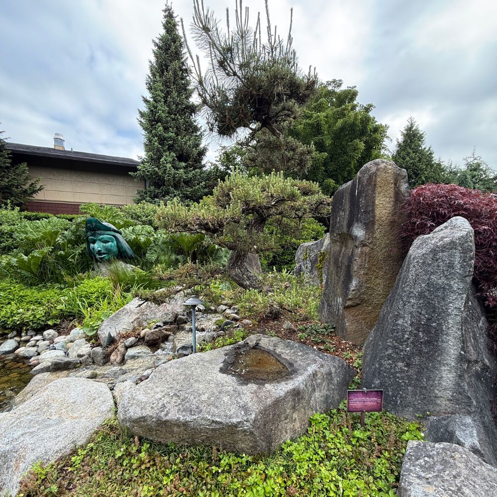Trees and greenery at Willows Lodge Woodinville